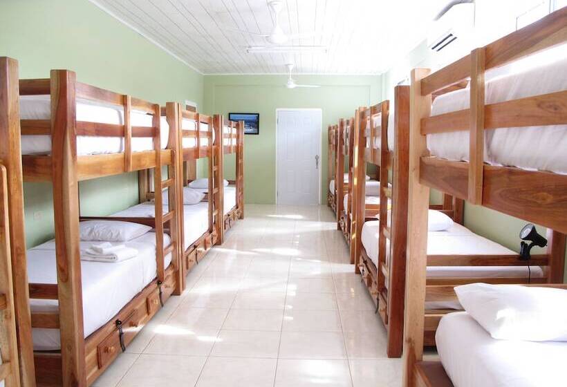 Just Next Door   Hostel