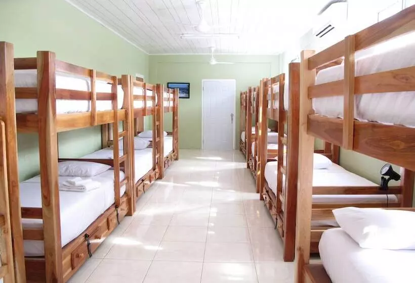 Just Next Door   Hostel