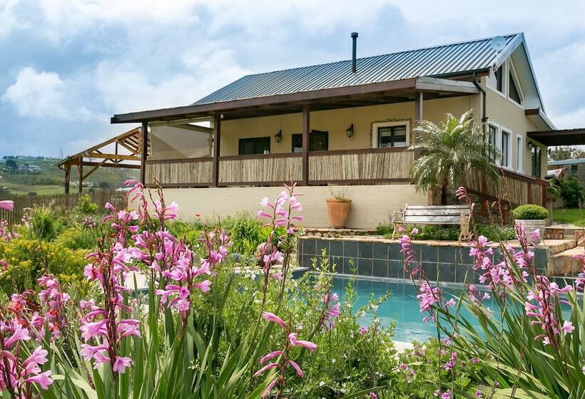 פנסיון Narnia Guest House