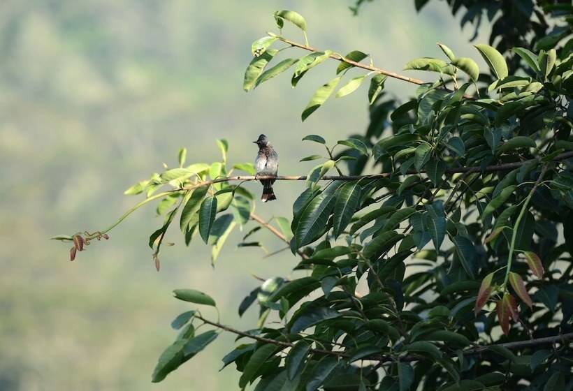 בית מלון כפרי Sri Kandyan Bungalow