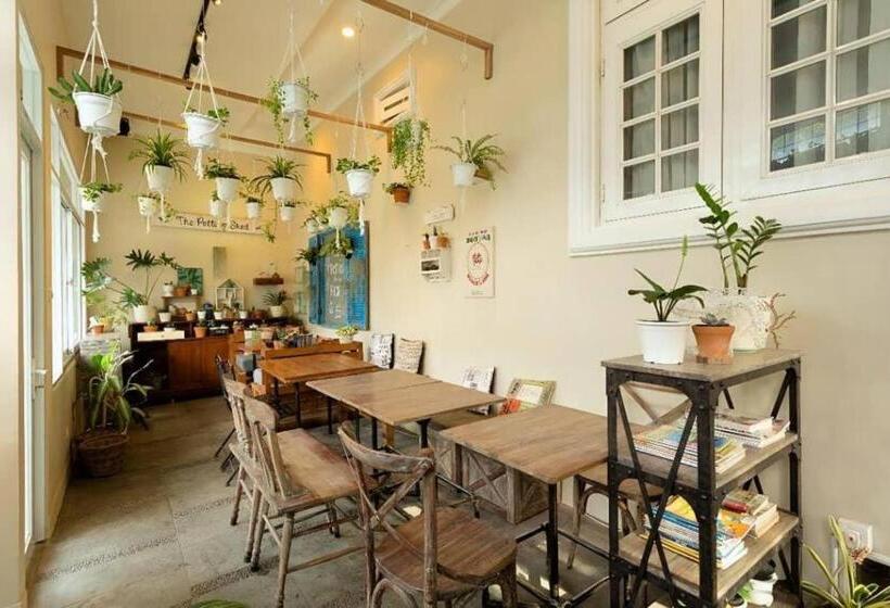 Pensione Cottonwood Bed & Breakfast House Bandung