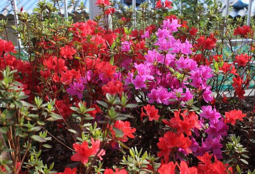 Pension (Hôtel basse catégorie) With U Hotel & Guesthouse