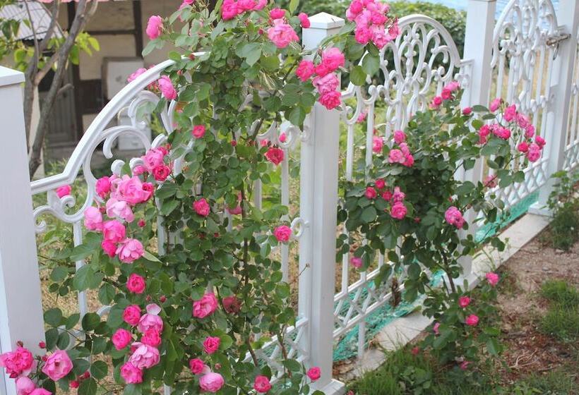 Pension (Hôtel basse catégorie) With U Hotel & Guesthouse