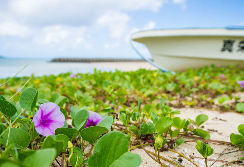 United Resort Ocean Front Onna