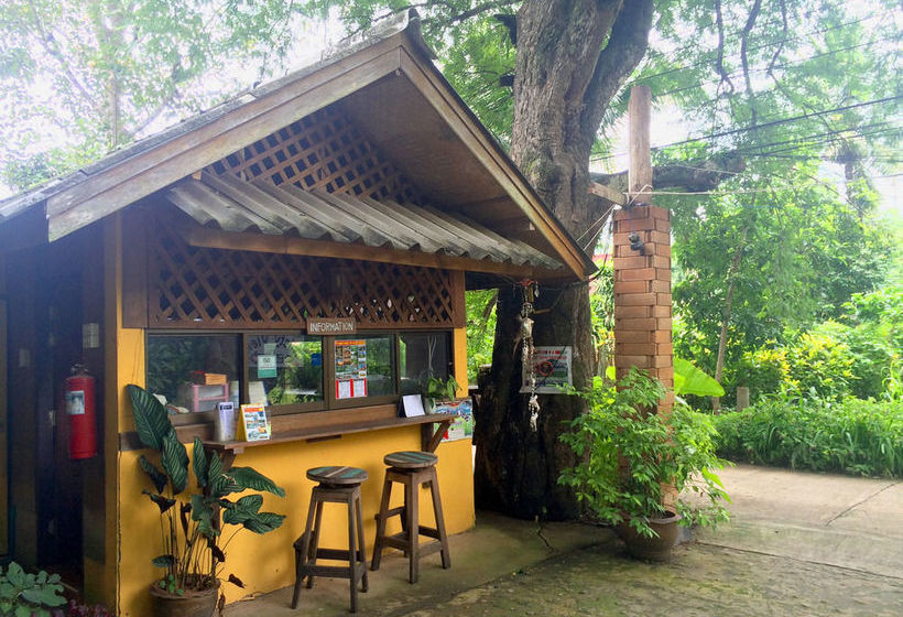 酒店 Misty View Guesthouse