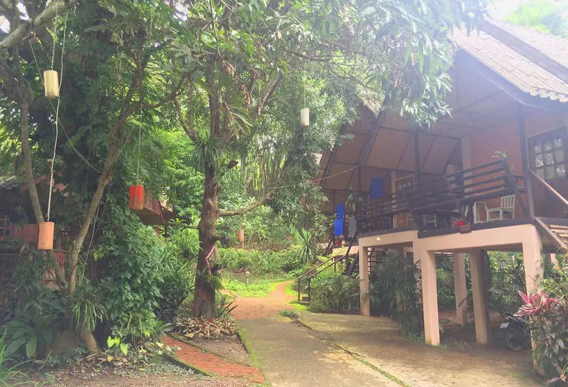 ホテル Misty View Guesthouse