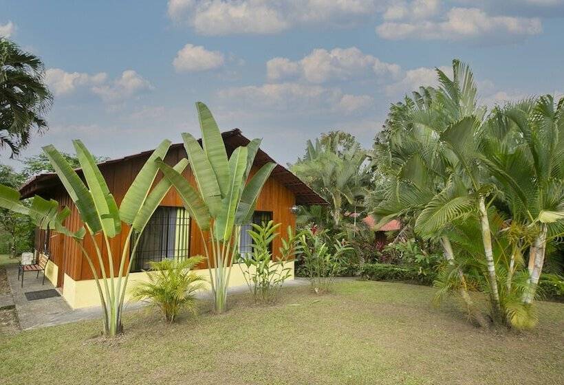 فندق Rancho Cerro Azul