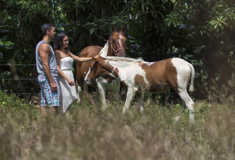 فندق Rancho Cerro Azul