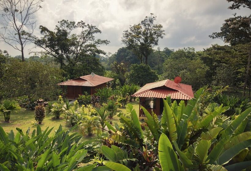 فندق Rancho Cerro Azul