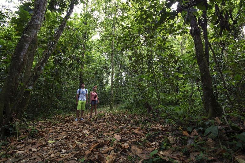 فندق Rancho Cerro Azul