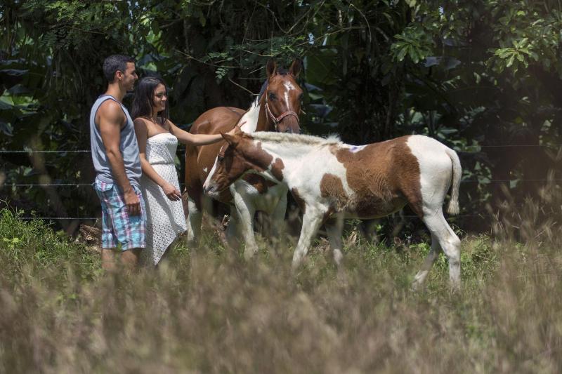 فندق Rancho Cerro Azul