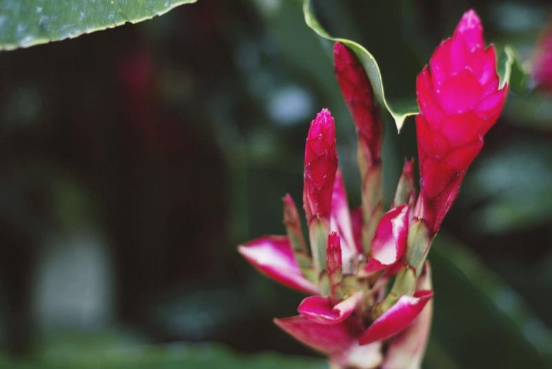 فندق Rancho Cerro Azul