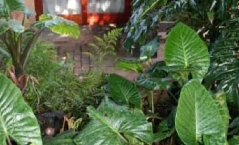 بنسيون Breena Bnb Guest House