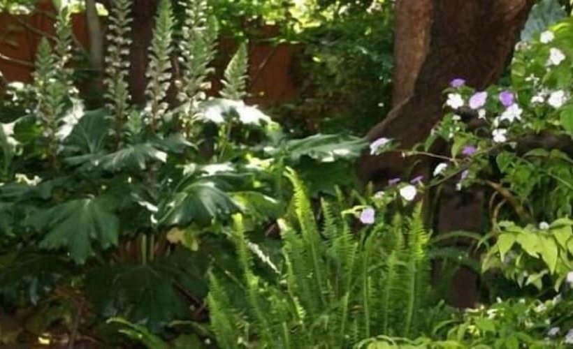 بنسيون Breena Bnb Guest House