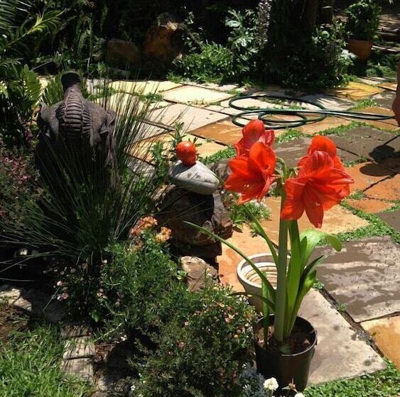 بنسيون Breena Bnb Guest House