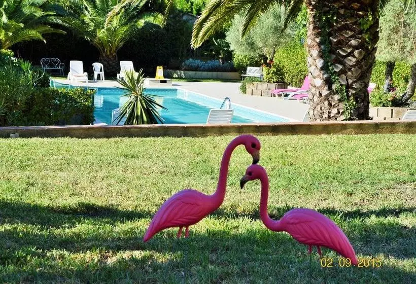 Lou Saint Tropez