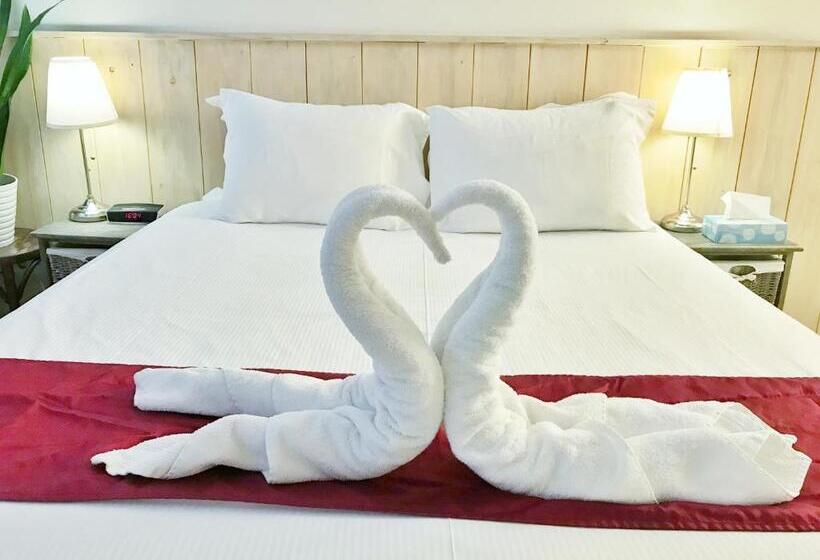 مبيت وإفطار Amsterdam Home