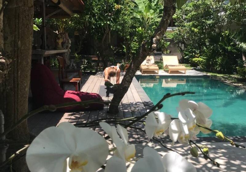 호텔 Diuma Residence Yoga Meditation Retreat And Healing Center