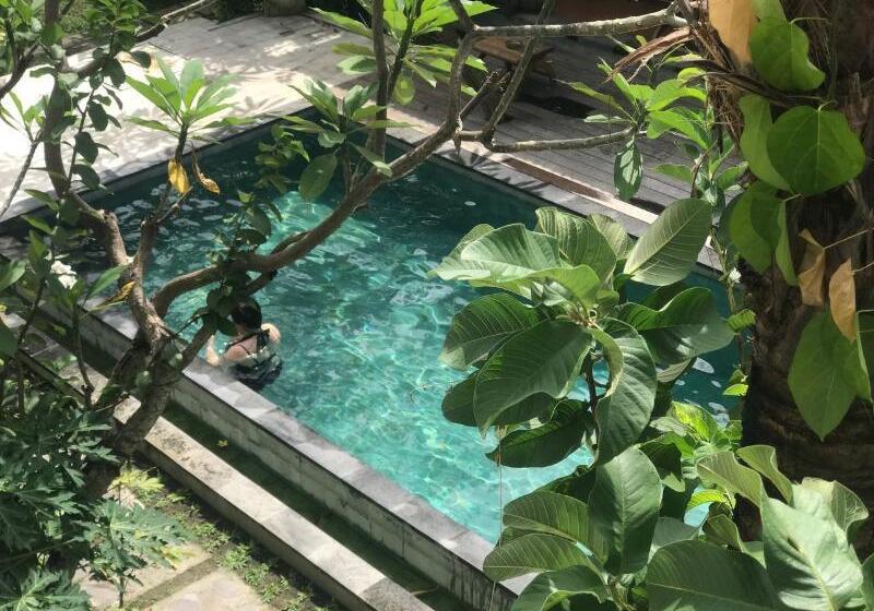 호텔 Diuma Residence Yoga Meditation Retreat And Healing Center