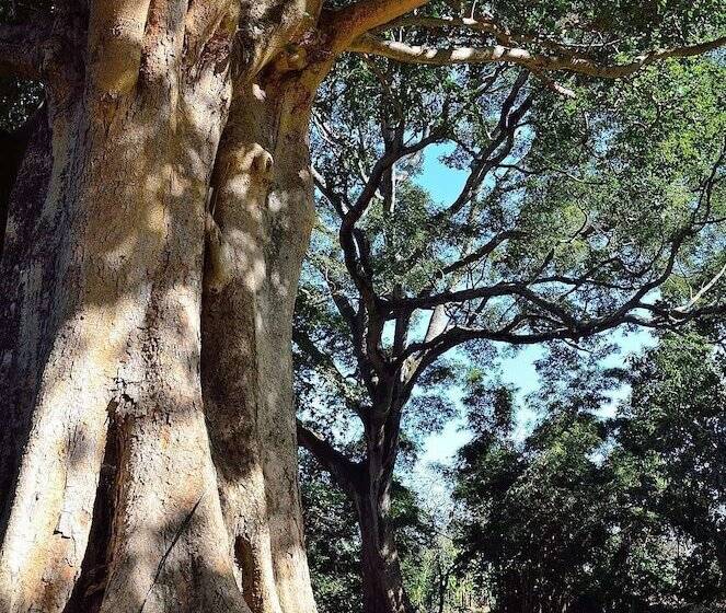 호텔 Green Hills Of Africa