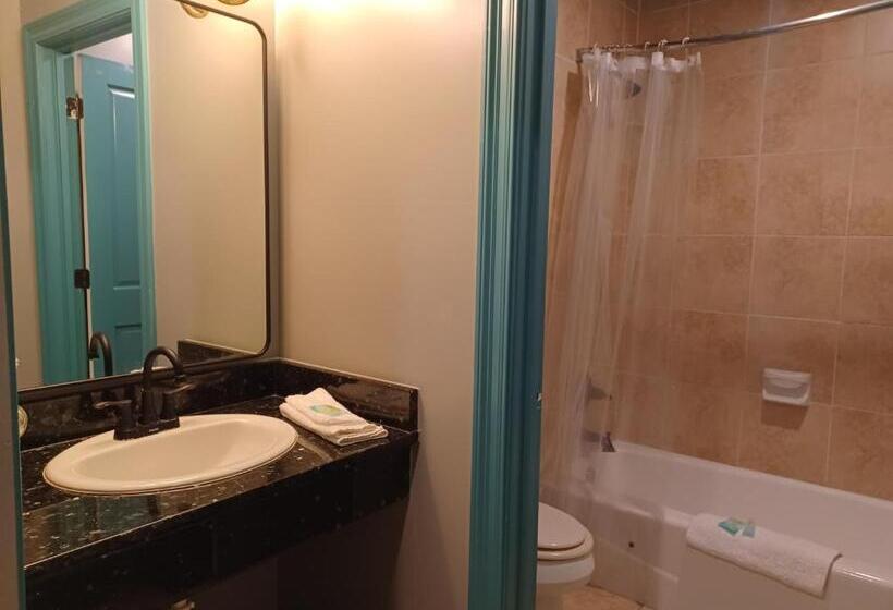 فندق Natchez Manor Bed & Breakfast