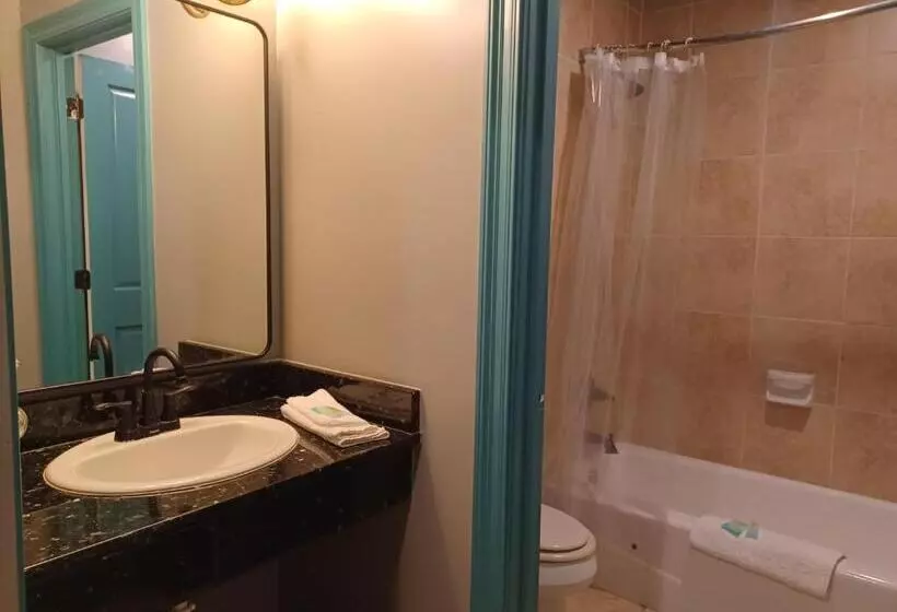 ホテル Natchez Manor Bed & Breakfast