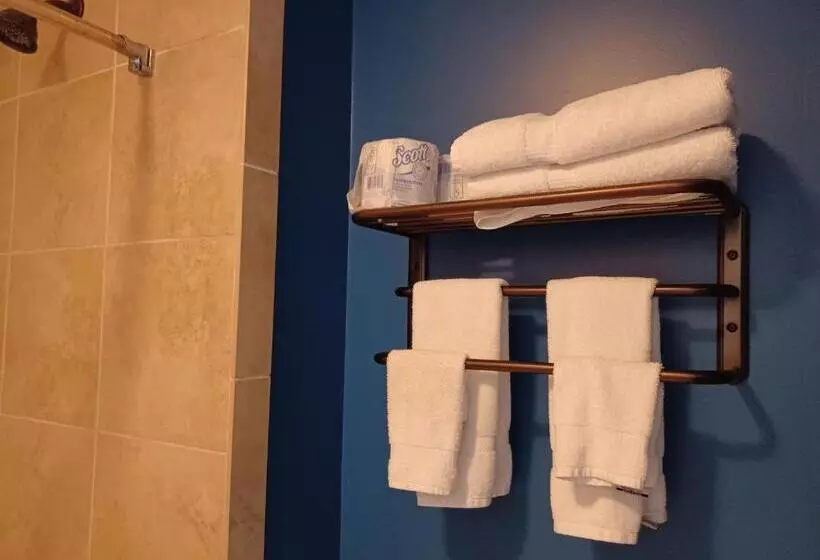 ホテル Natchez Manor Bed & Breakfast