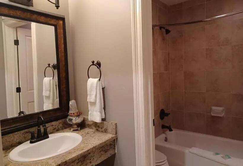 ホテル Natchez Manor Bed & Breakfast