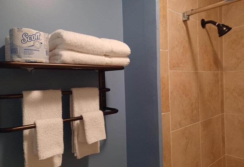 فندق Natchez Manor Bed & Breakfast