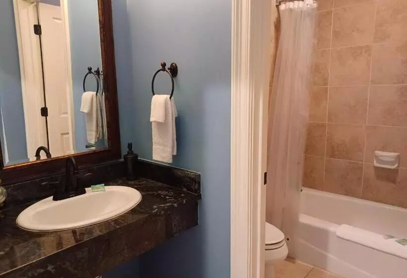 ホテル Natchez Manor Bed & Breakfast