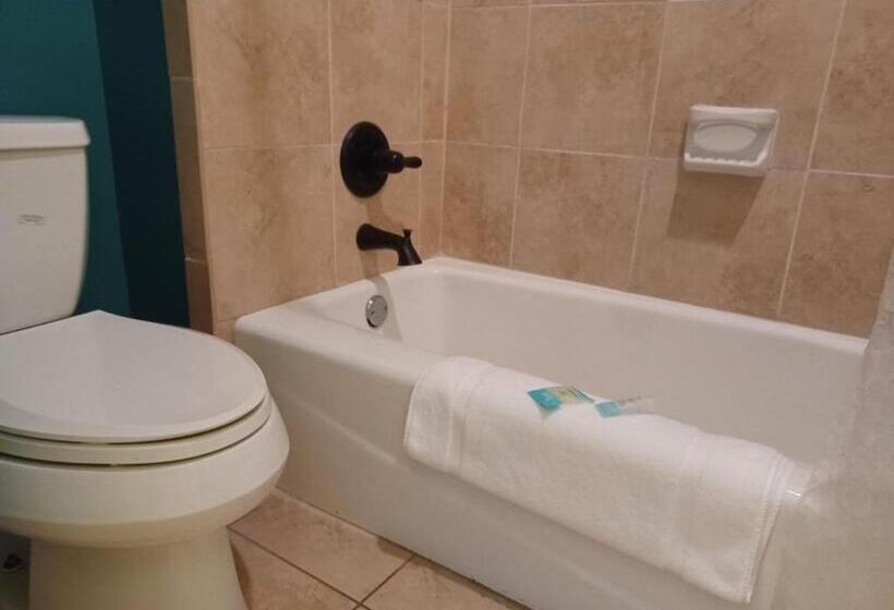 فندق Natchez Manor Bed & Breakfast