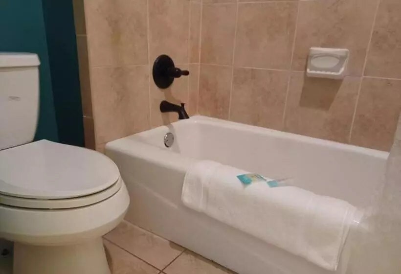ホテル Natchez Manor Bed & Breakfast