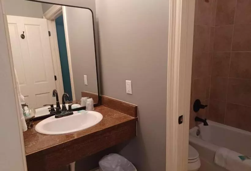 ホテル Natchez Manor Bed & Breakfast