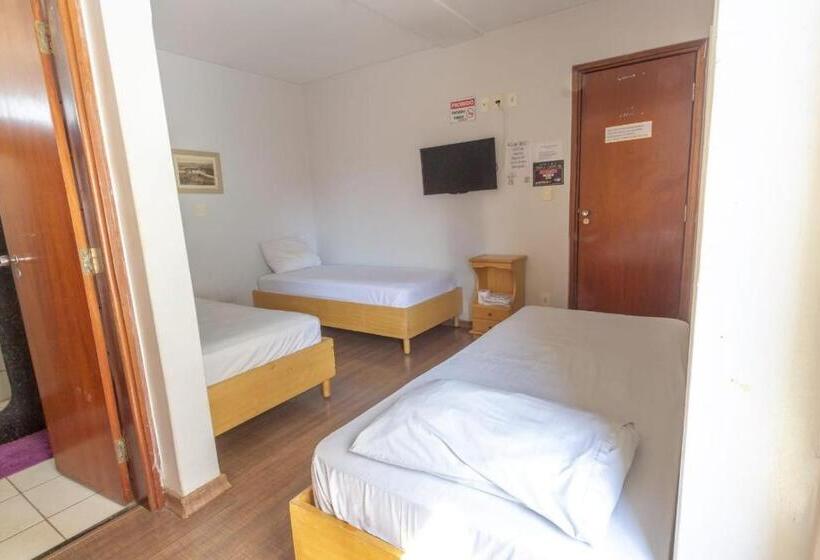 Hotel Terra Cedro In