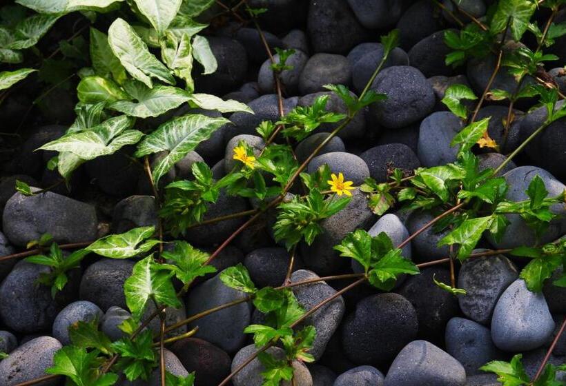 The Nest Hotel Nusa Dua