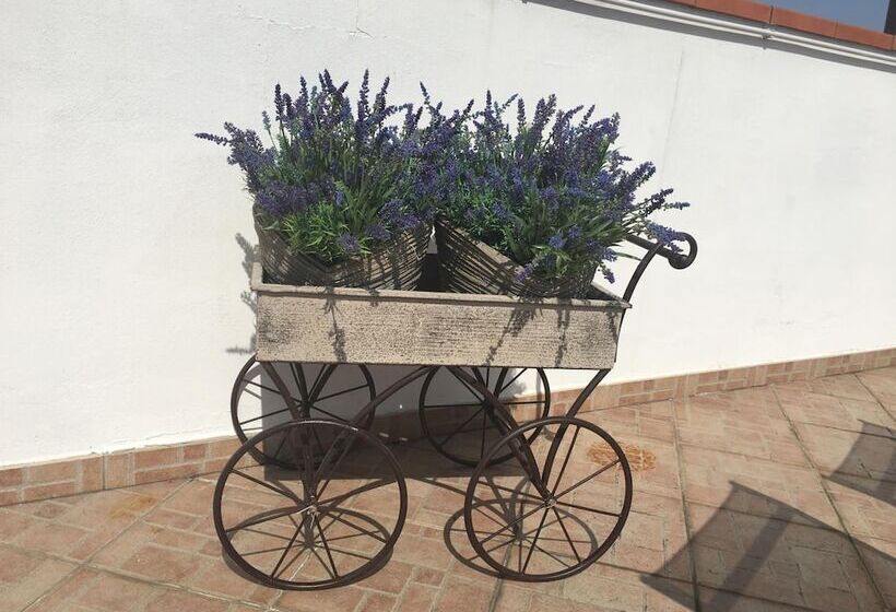 Pensjonat La Terrazza