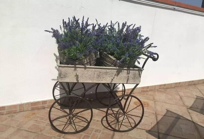 Pensione La Terrazza