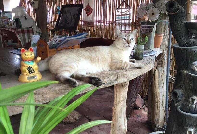 بنسيون Thai Guesthouse