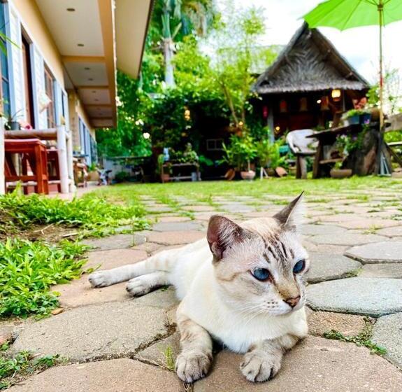 بنسيون Thai Guesthouse