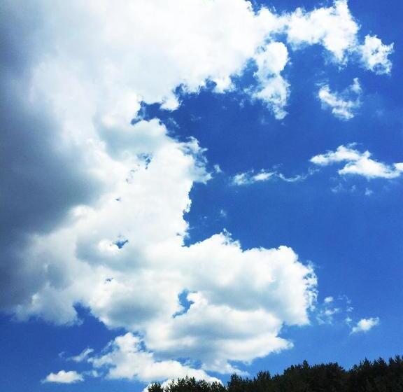 Park Hotel Eagle Stone