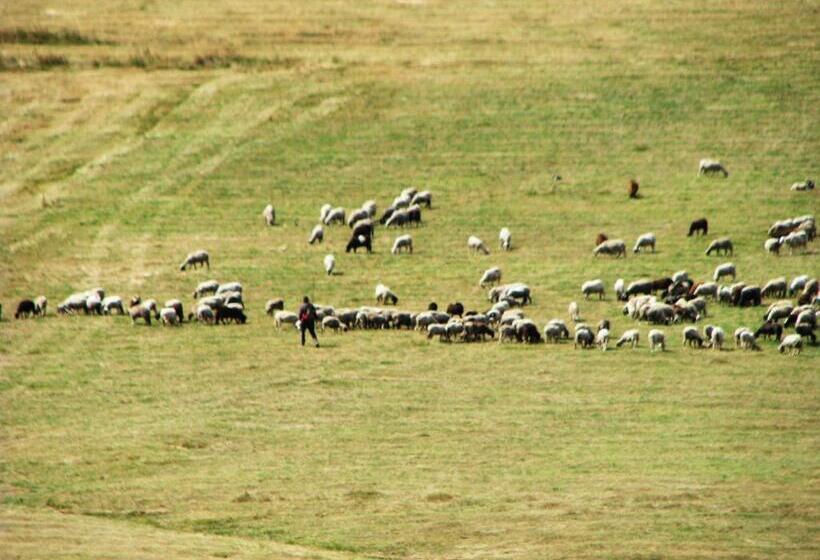 Park Hotel Eagle Stone