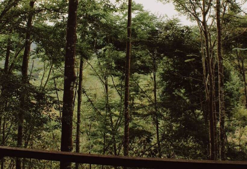 Madeira Hotel Boutique