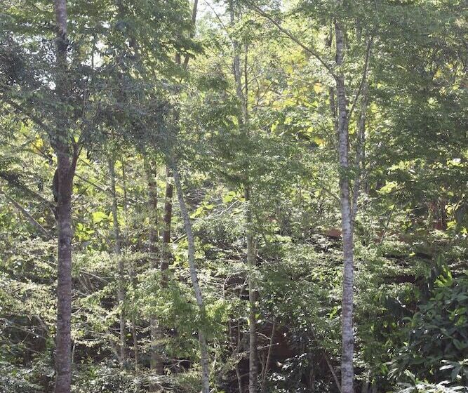 Madeira Hotel Boutique