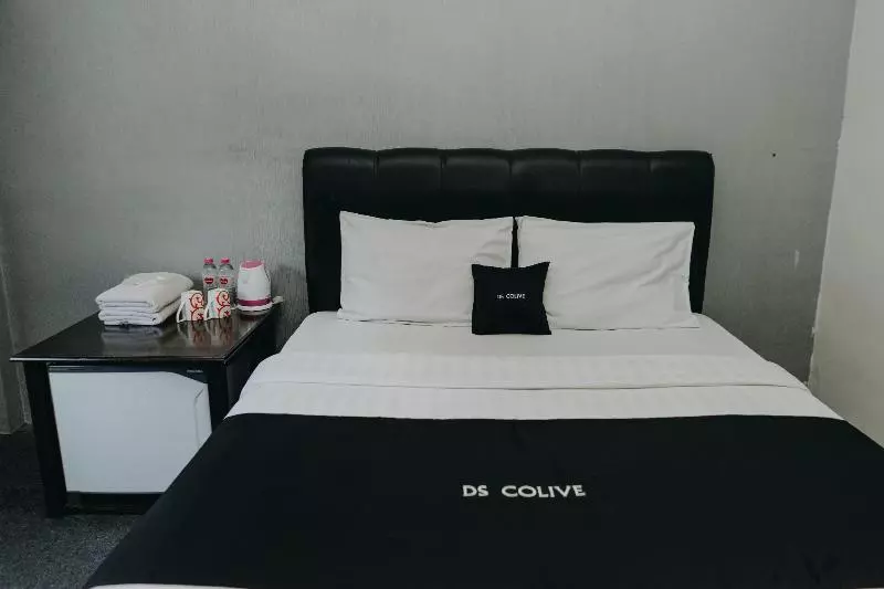 Hotel Ds Colive 34