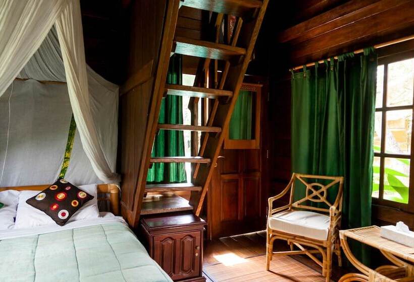 Otel Easy Surf Dacha