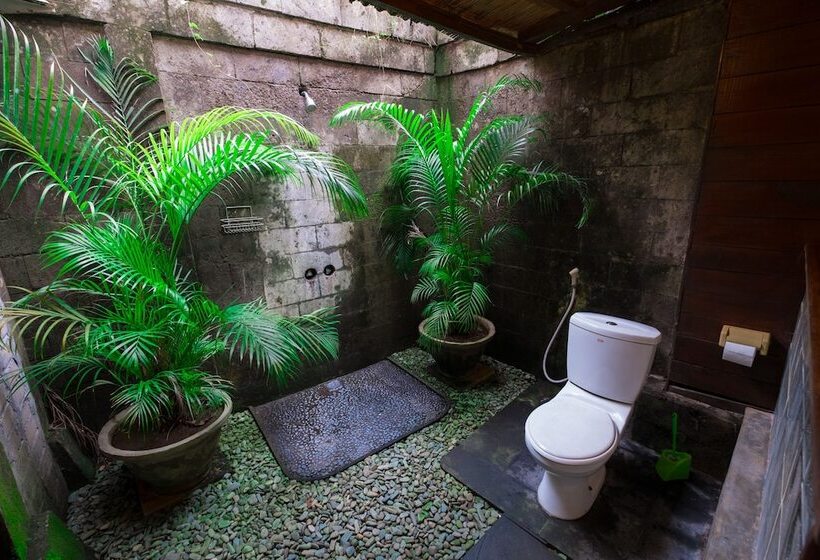 Otel Easy Surf Dacha