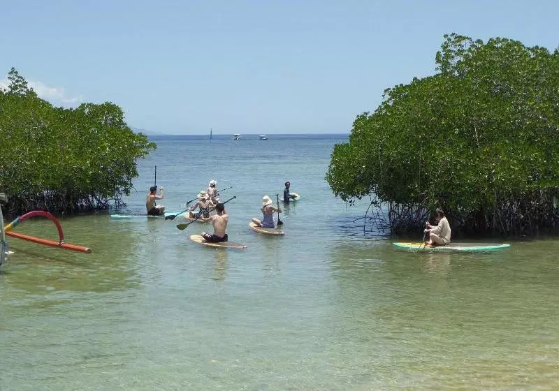 Hotelli Mangrove Paradise Retreat