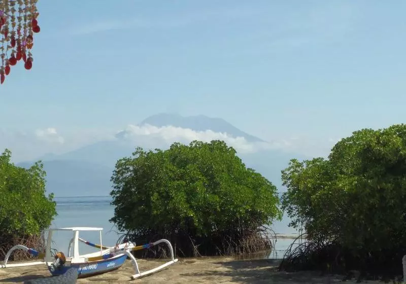 Hotelli Mangrove Paradise Retreat