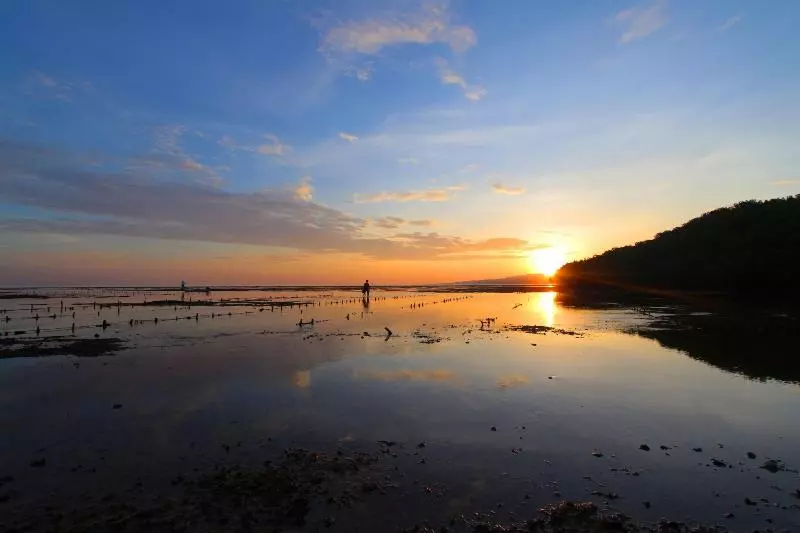 Hotelli Mangrove Paradise Retreat