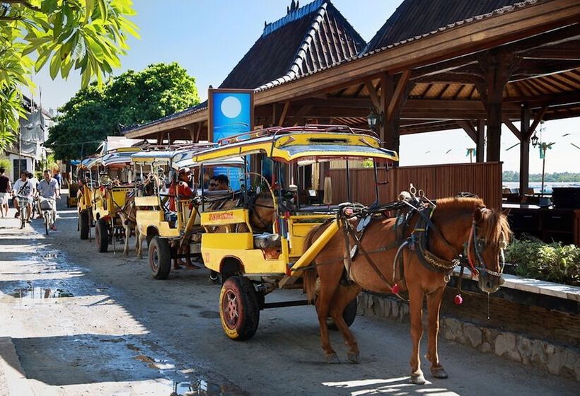 酒店 Pinkcoco Gili Trawangan   Constant Surprises   For Cool Adults Only